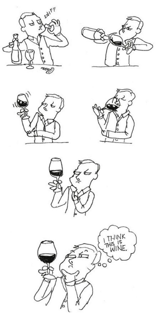 Ser Sommelier: Descubriendo lo que Hay Detrás del Vino