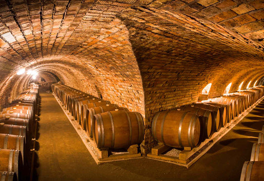 ¿Cuánto cuesta montar una bodega?